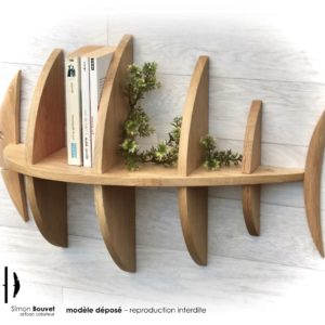 étagère poisson 60cm vue arrière avec livres et plantes vertes